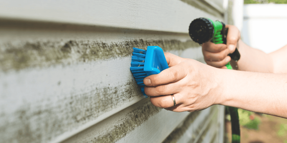 Stock Image of Person Washing Side of House